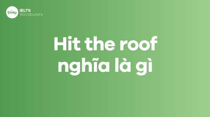 Nghĩa của hit the roof là gì