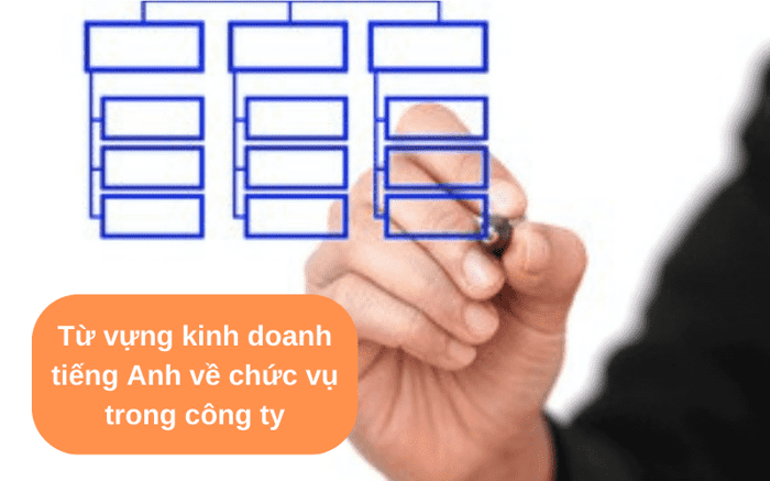 Từ vựng tiếng Anh về các chức vụ trong công ty