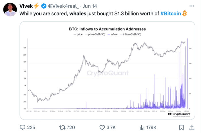 btc-ca-voi-vo-ich1