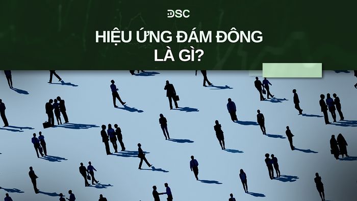 hieu-ung-dam-dong-la-gi.jpg