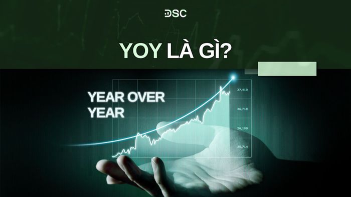 yoy-la-gi.jpg