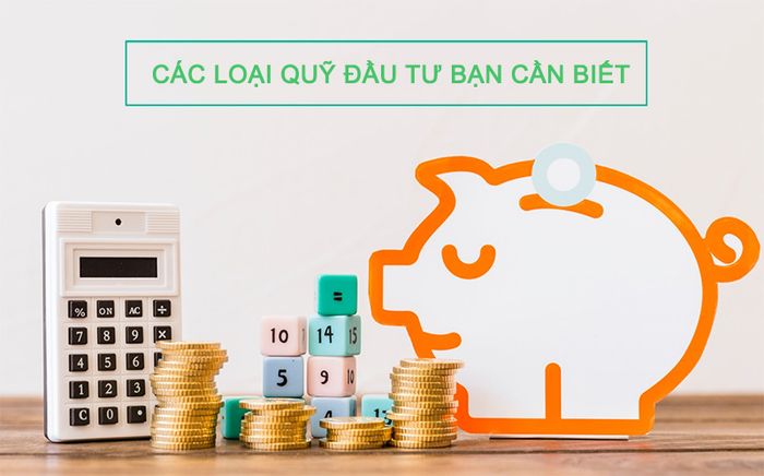 Các dạng quỹ đầu tư - Tiêu chí để lựa chọn công ty quản lý quỹ tốt