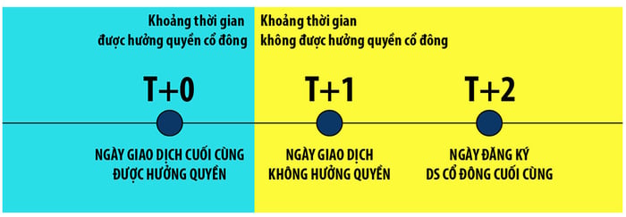 Cách nhận cổ tức chứng khoán và những thông tin cần biết