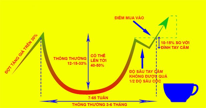 Mô hình cốc và tay cầm là gì?