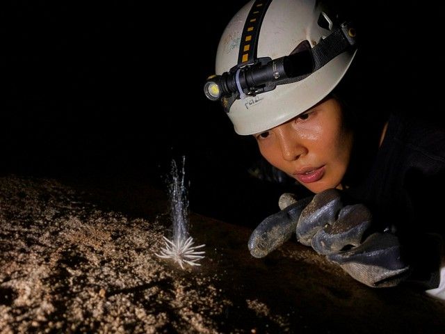 Khám phá thủy quái bắn 'dịch trắng' trong hang động Phong Nha - Kẻ Bàng