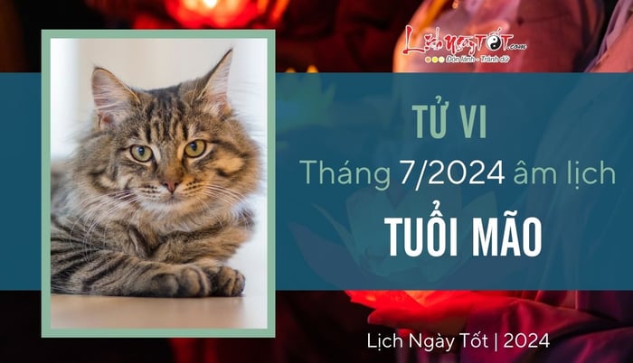 Tử vi tháng 7/2024 cho tuổi Mão âm lịch