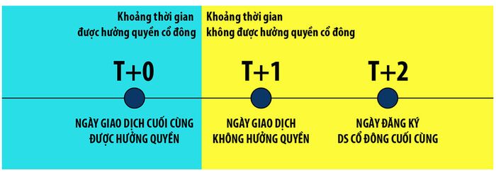 Cách nhận cổ tức từ chứng khoán và các thông tin quan trọng cần biết