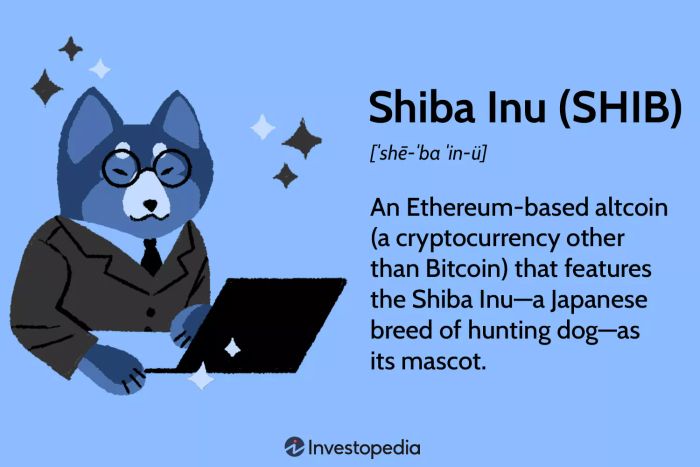 Shiba Inu (SHIB)