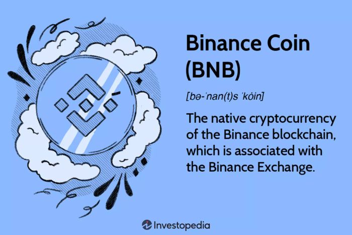 Binance Coin (BNB)