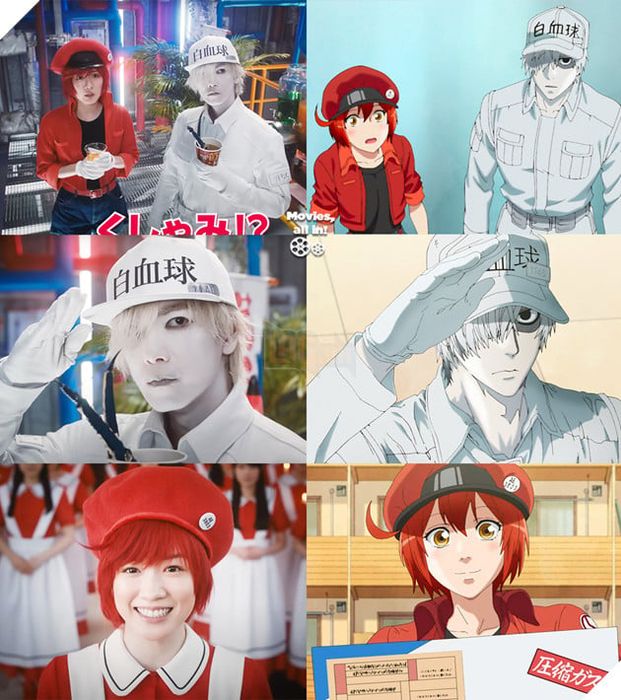 “Cells at Work!” và Phiên Bản Live Action: Khi Các Tế Bào Kể Về Cuộc Sống