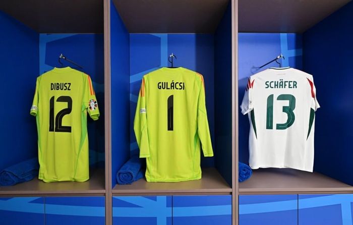 Trực tiếp Đức vs Hungary: Đội hình ra sân chính thức 483894