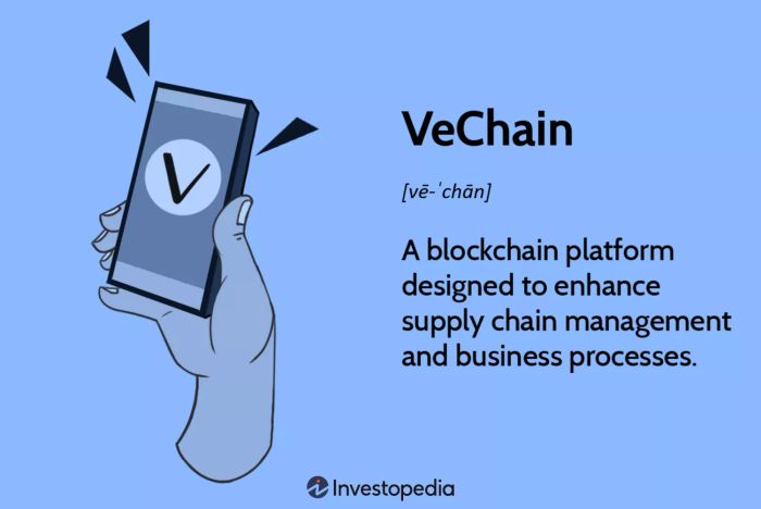 VeChain