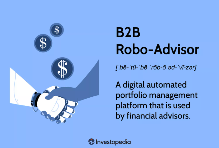 Robo-Advisor B2B