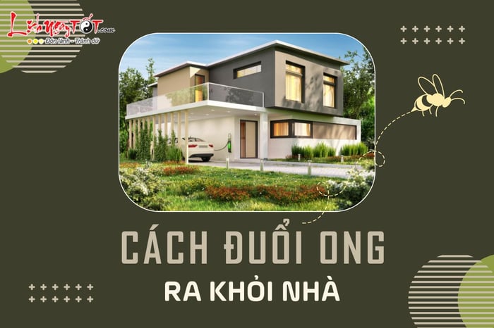 Cách đuổi ong trong nhà hiệu quả