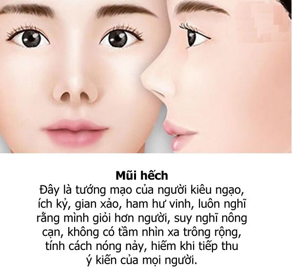 Xem tướng mặt, đánh giá tướng mũi hếch