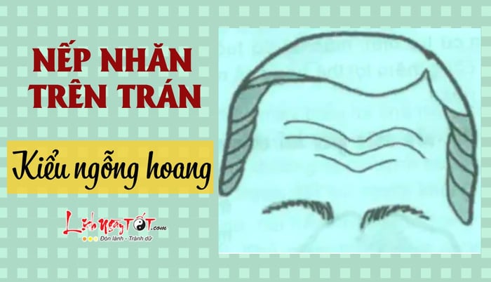 Nếp nhăn dạng ngỗng hoang