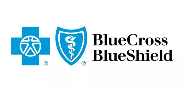 Blue Cross Blue Shield