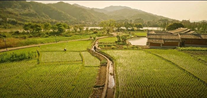 Hầu hết cảnh quay trong phim đẹp như tranh vẽ - Ảnh: Sohu