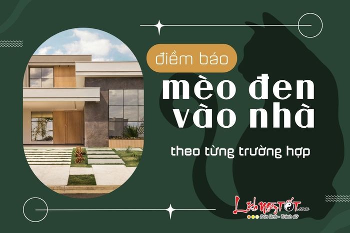 Diễn giải về việc mèo đen vào nhà