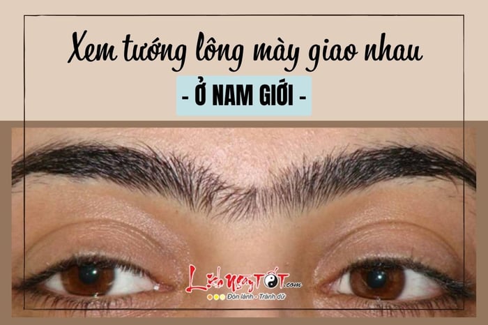 Lông mày giao nhau ở nam giới