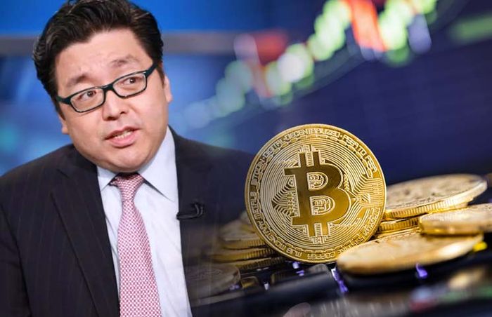 tom-lee-bitcoin-co-the-tang-gia-va-tien-toi-50000-som-hon-ban-nghi