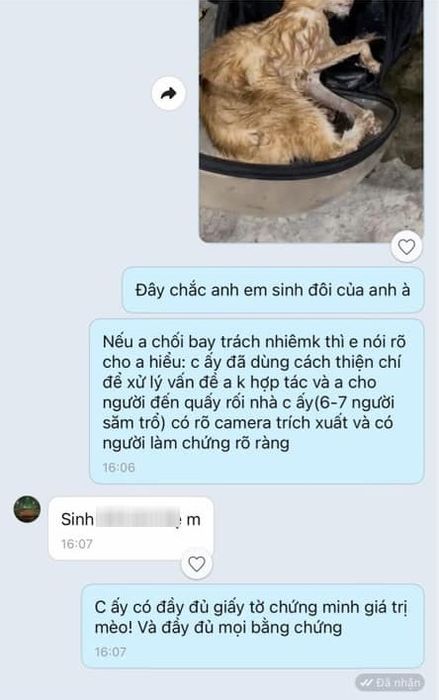 Một chú mèo trị giá 80 triệu vừa qua đời sau khi bị nhốt trong cốp xe suốt 5 giờ