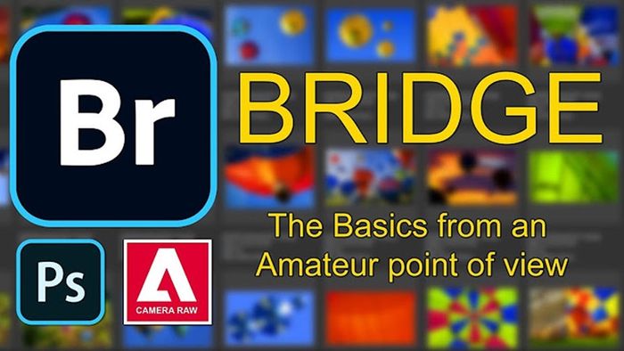 adobe-bridge-la-gi