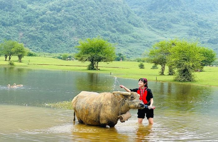Phim kể về chuyến đi qua đồi của một sinh viên dân tộc Dao đến với căn phòng trọ độc đáo nằm giữa lòng thành phố.