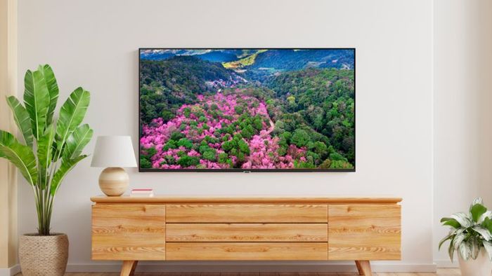 tivi-samsung-55-inch-2