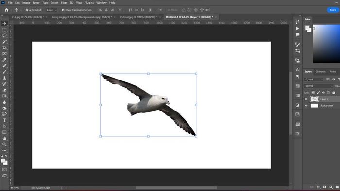 Hướng dẫn cắt ảnh trong Photoshop (19)