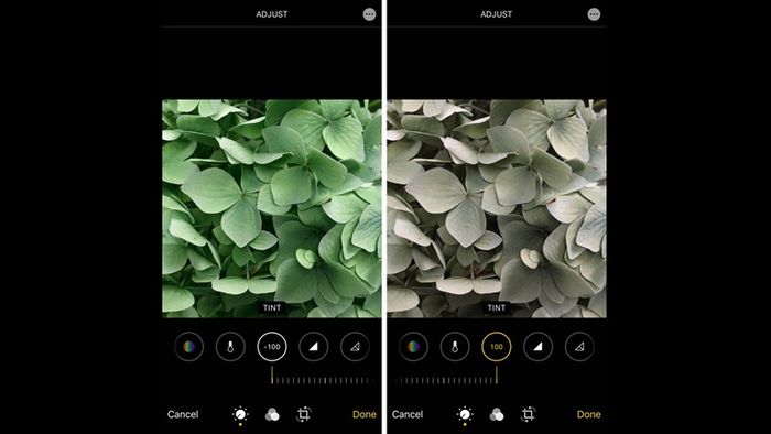 Công thức chỉnh màu iPhone số 7