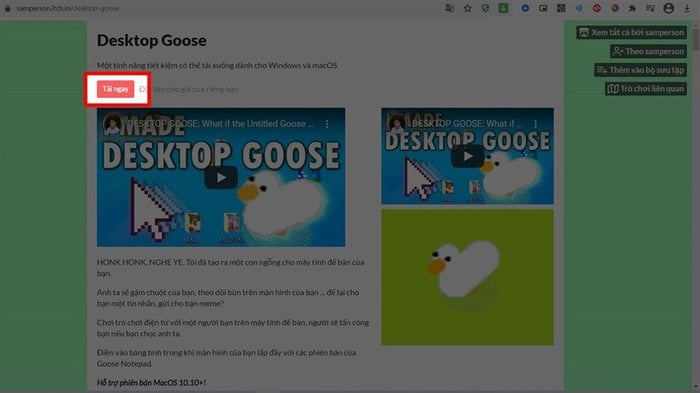 goose-desktop-4