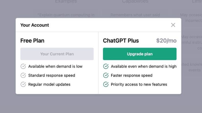 chatgpt-plus-2