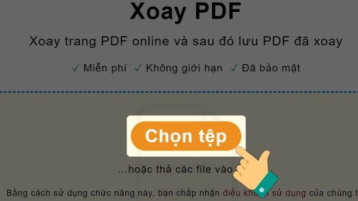 xoay-file-pdf-10