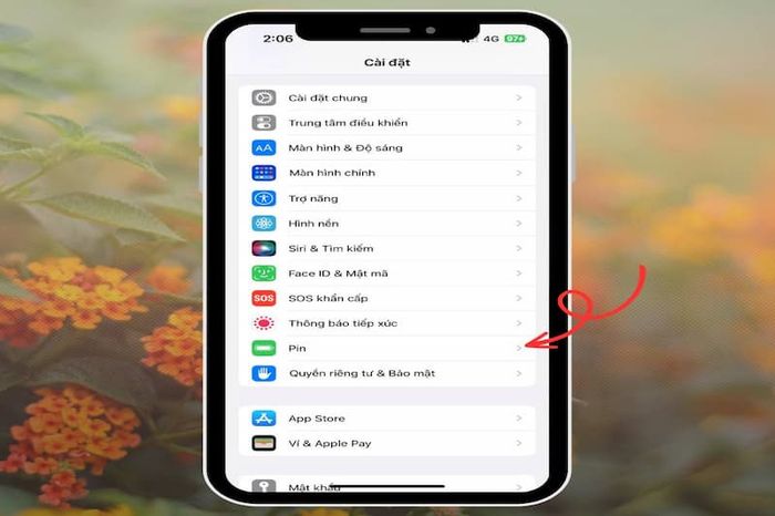 hien-thi-phan-tram-pin-iPhone-11-3