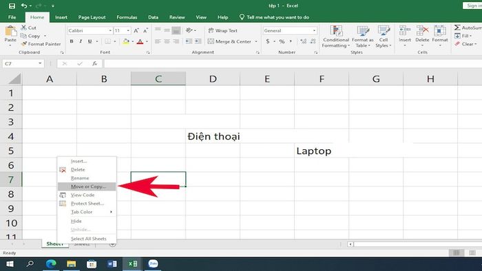 cach-sao-chep-sheet-trong-excel-sang-file-khac-1