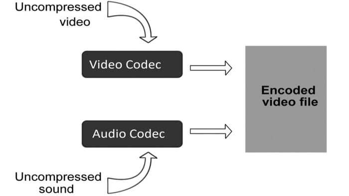 Codec-4