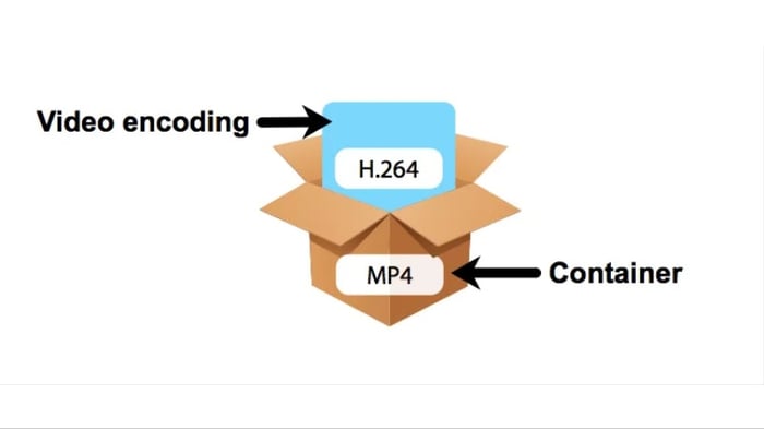 Codec-5