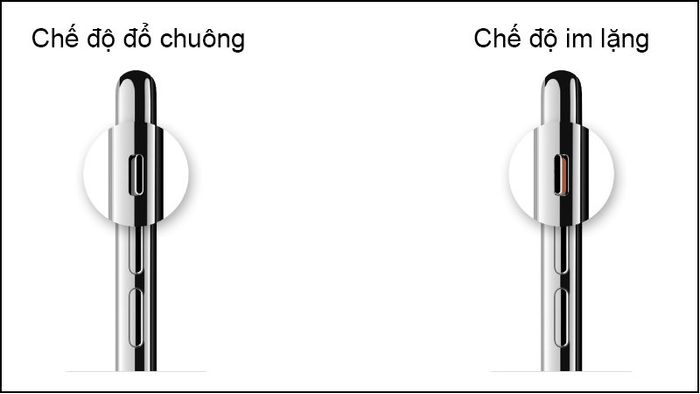 vấn-đề-loa-iphone-bị-nhỏ-9