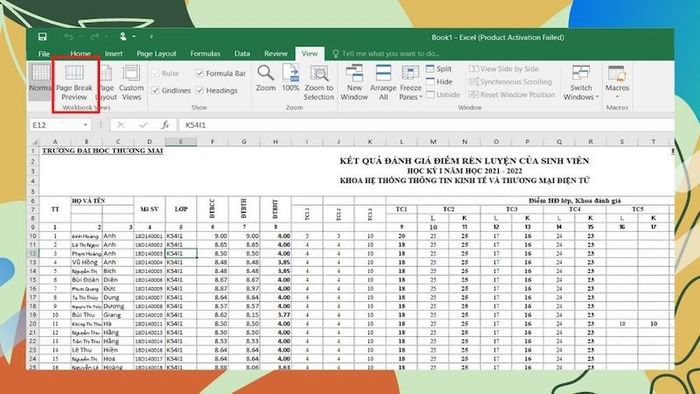 cach-in-excel-vua-trang-giay-a4-page-break-preview-2