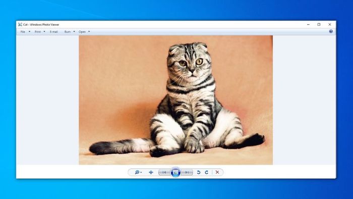 windows-photo-viewer-1