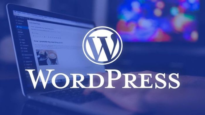 wordpress-1