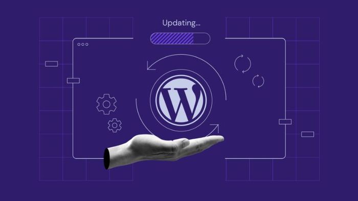 wordpress-10