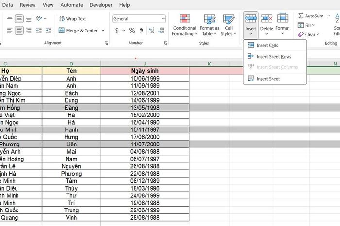 them-hang-trong-excel-4