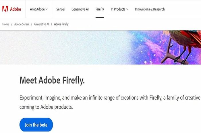 Adobe-Firefly-6