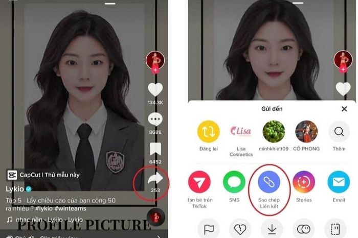 sao chép liên kết tiktok