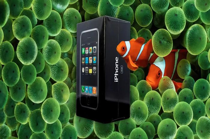 iphone-doi-dau-4gb-duoc-dau-gia-hon-2-ty-dong-anh-1