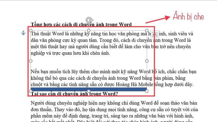 cach-di-chuyen-anh-trong-word-9