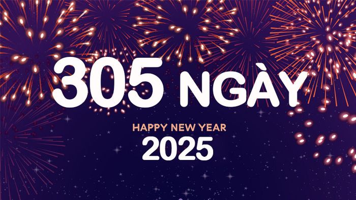 Còn bao nhiêu ngày nữa đến Tết 2025?