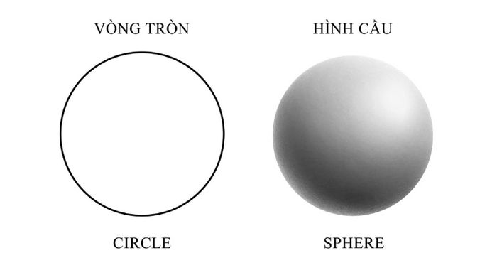 Hướng dẫn tính diện tích hình cầu